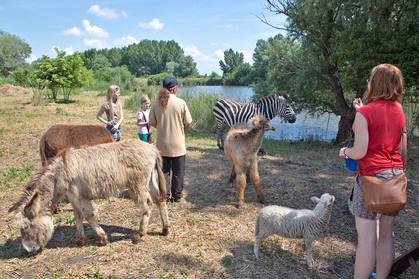 В Словакии появился новый зоопарк — на Кольцевой автодроме Словакии